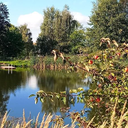 Historisches Rittergut Hexenburgbeidresden Nahe Sachsische Schweiz, Dresden - Mit Badeteich Lägenhet Großharthau Exteriör bild